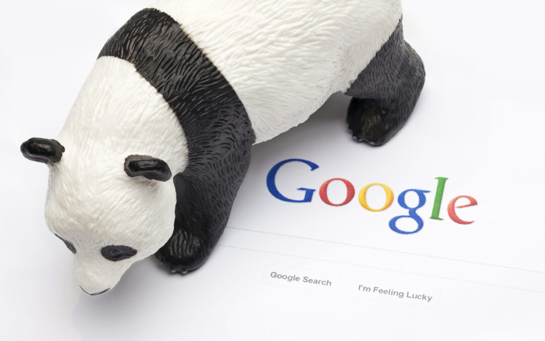 SEO: Google Care about Their Image